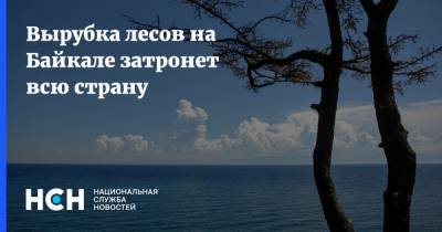 Вырубка лесов на Байкале затронет всю страну