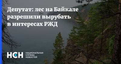 Депутат: лес на Байкале разрешили вырубать в интересах РЖД