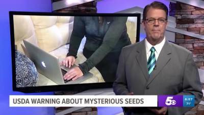Житель из США посадил загадочные семена из Китая - piter.tv - Китай - США - штат Арканзас
