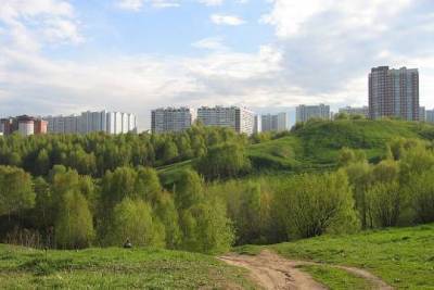 Депутат Мосгордумы Мария Киселева: Экологические преимущества столицы нужно развивать