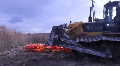 Россияне уничтожили 36 тысяч тонн санкционных продуктов и похвастались: "Аналогов в мире нет"