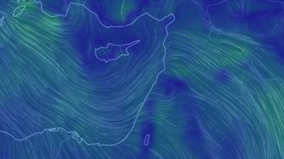 Эксперт рассказал, грозят ли аммиачные облака из Бейрута курортам Турции