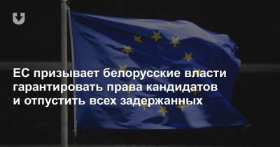 ЕС призывает белорусские власти гарантировать права кандидатов и отпустить всех задержанных