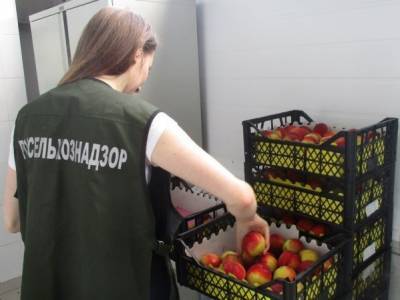 Десятки тонн зараженных нектаринов выявлены за неделю в Нижегородской области