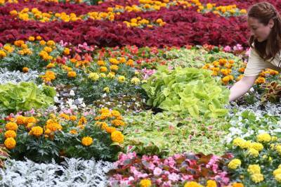 В Нальчике устроят трехдневный фестиваль цветов