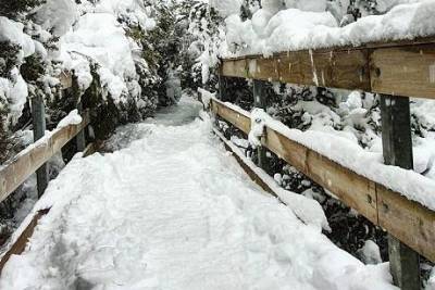 В австралийском городе Лонсестон впервые за 40 лет выпал снег (ФОТО)