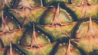 В Петербург приехали морем ананасы из Коста-Рики и Эквадора