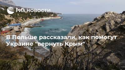 В Польше рассказали, как помогут Украине "вернуть Крым"