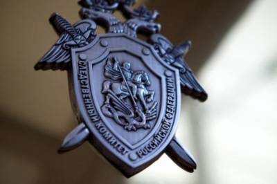 СК РФ инициировал проверку действий белорусских силовиков при аресте россиян