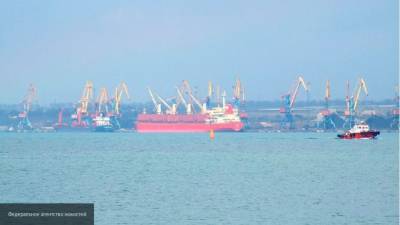 Около 10 тонн взрывоопасной селитры нашли в украинском порту под Одессой