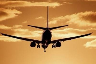 Самолет вынужденно сел из-за отказа гражданина Украины надеть маску