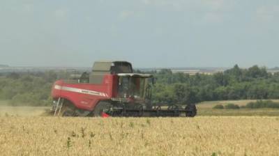 В Пензенской области намолотили 1 миллион тонн зерна