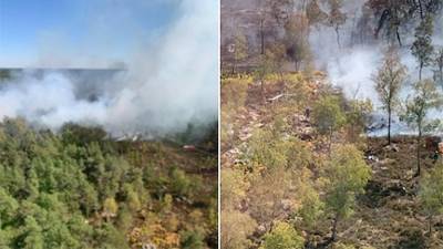 Сильный пожар возник в лесопарке Фонтенбло близ Парижа