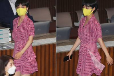 Появившаяся в мини-платье депутат вызвала гнев корейцев