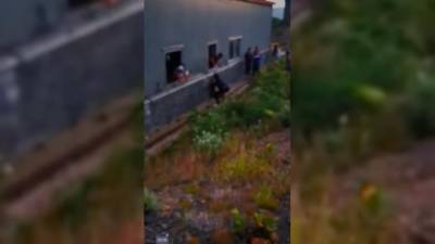 Полиция проверит инцидент с издевательством над медвежонком на Курилах