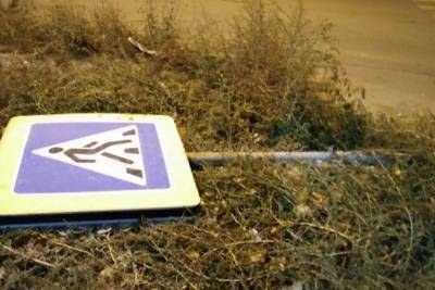 Костромские общественники дорожного контроля свалили дорожный знак