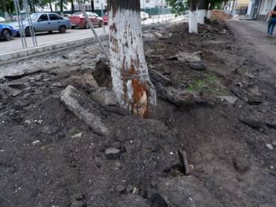 «Реконструкция площади не должна превращаться в публичную казнь»: Активисты ОНФ вступились за липы на улице Советской