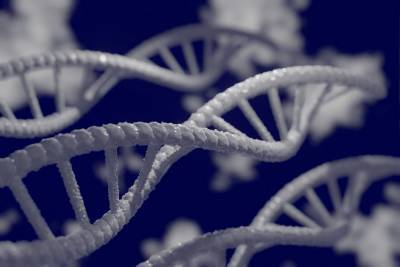 Ученые обнаружили в геноме человека ДНК неизвестного предка