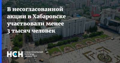 В несогласованной акции в Хабаровске участвовали менее 3 тысяч человек