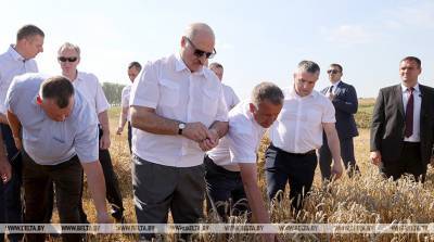 Лукашенко: не надо дергать аграриев на выборы, потерять урожай ради какой-то политики - полный идиотизм