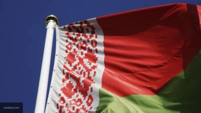 Явка на досрочные выборы главы Белоруссии за четыре дня составила около 32%