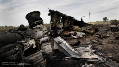 СМИ рассказали об указывающих на причастность Киева моментах в деле MH17