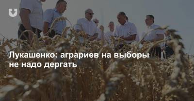 Лукашенко: аграриев на выборы не надо дергать