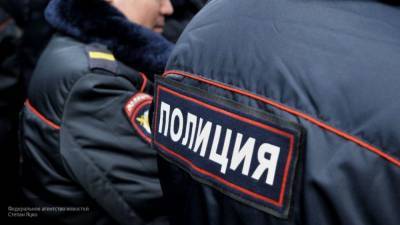 Стали известны обстоятельства нападения на московского полицейского с ломом