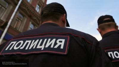 Избивший полицейского преступник в Москве пытался украсть провода