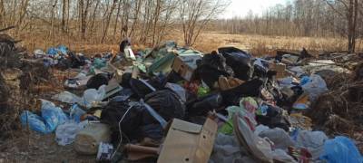 Более семи тысяч кубометров мусора вывезли из Петрозаводска