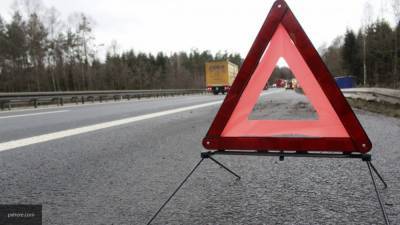 Два человека погибли в лобовом ДТП Audi и грузовика под Воронежем