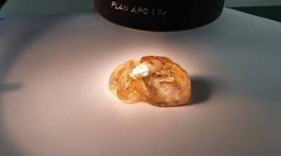 Гигантский алмаз нашли в России