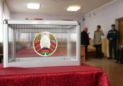 Выборы в Беларуси: за четыре дня досрочно проголосовало треть избирателей