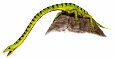 Швейцарские ученые раскрыли тайну рептилии с чудовищно длинной шеей