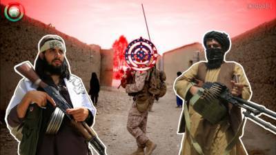 Талибы опровергли военное сотрудничество с Россией