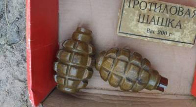 На Житомирщине у местного жителя изъяли арсенал боеприпасов (фото)