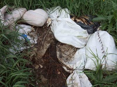 Десятки мешков с костями животных нашли рядом с поселком в Томском районе