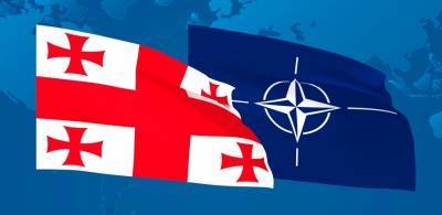 Грузия заявила о готовности ко вступлению в НАТО