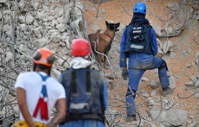 Спустя трое суток после взрыва в Бейруте под завалами находят живых людей и ищут погибших