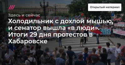 Холодильник с дохлой мышью, и сенатор вышла «в люди». Итоги 29 дня протестов в Хабаровске