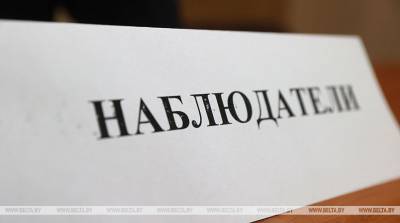 Избирательная кампания в Беларуси проходит в штатном режиме - национальный наблюдатель