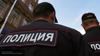 Вывернувшего руку сотруднице полиции чеченца задержали в Петербурге