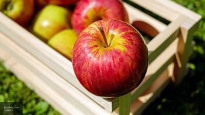 Определены причины скачка цен на яблоки в России