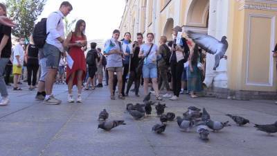 Вместо собрания — кормление голубей. Как Петербург поддержал Фургала.