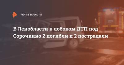 В Ленобласти в лобовом ДТП под Сорочкино 2 погибли и 2 пострадали