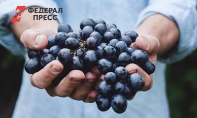 Россиян предупредили об опасности фруктов