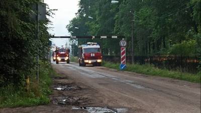 Крупный пожар разгорелся на фабрике дверей в Ленинградской области — видео