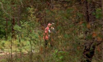 Две женщины заблудились в лесу в Карелии