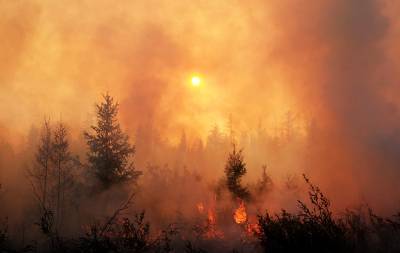 В Якутии лесные пожары подбираются к жилым домам