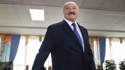 Лукашенко рассказал о готовности к тесному партнерству с Москвой
